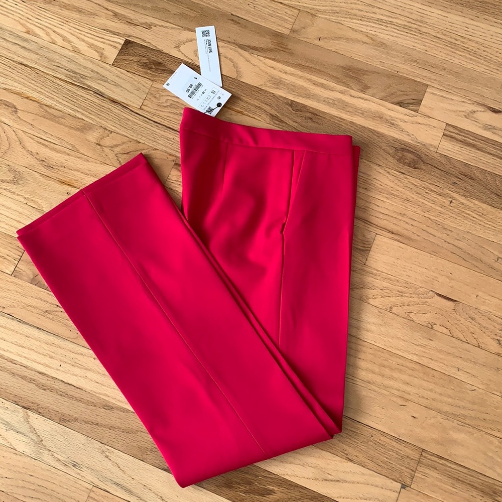 Zara pants